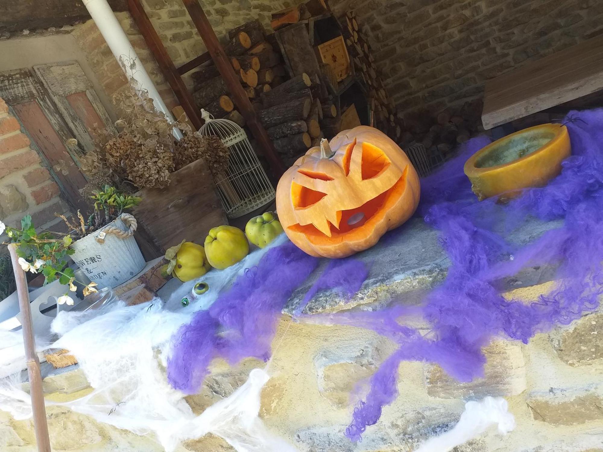 Hotel Le Terre Di Caprano Città di Castello Zewnętrze zdjęcie